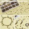 870 Pcs Jewelry Finding Kits with Lobster Claw Clasps (Antique Bronze-870 Pcs)